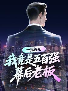 一元首充：我竟是五百强幕后老板